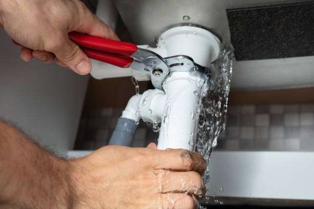 Best Flooded house restoration  in Dolton, IL