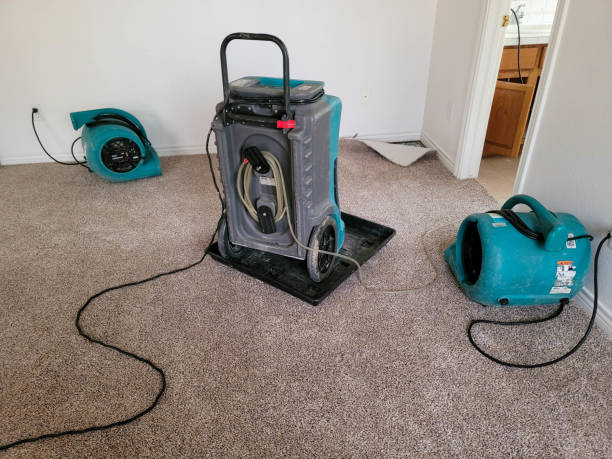 Best Flood damage cleanup  in Dolton, IL