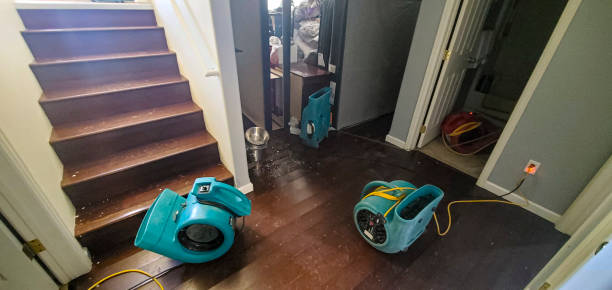 24/7 water damage repair in Dolton, IL
